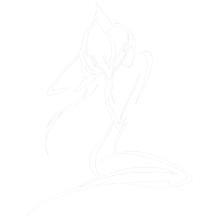 Feel The Line