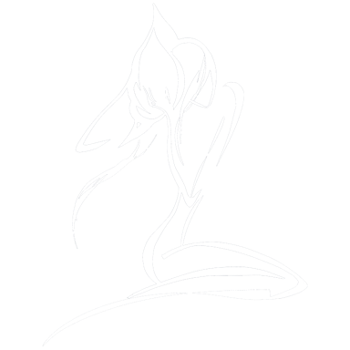 Feel The Line
